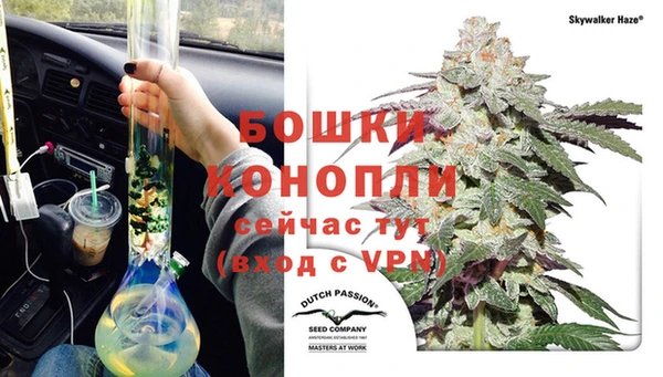 не бодяженный Бородино