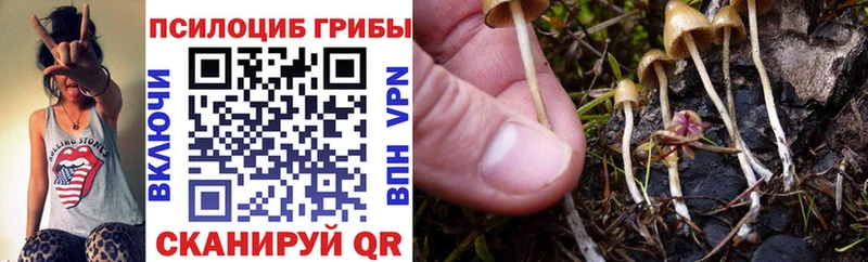 Псилоцибиновые грибы прущие грибы  Махачкала 